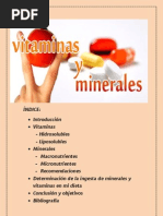 Download VITAMINAS Y MINERALES by Tamara Guillermo SN86315295 doc pdf