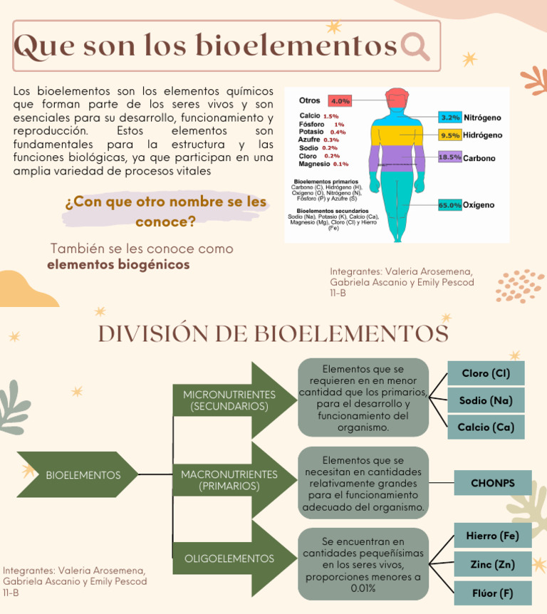 Bioelementos | PDF