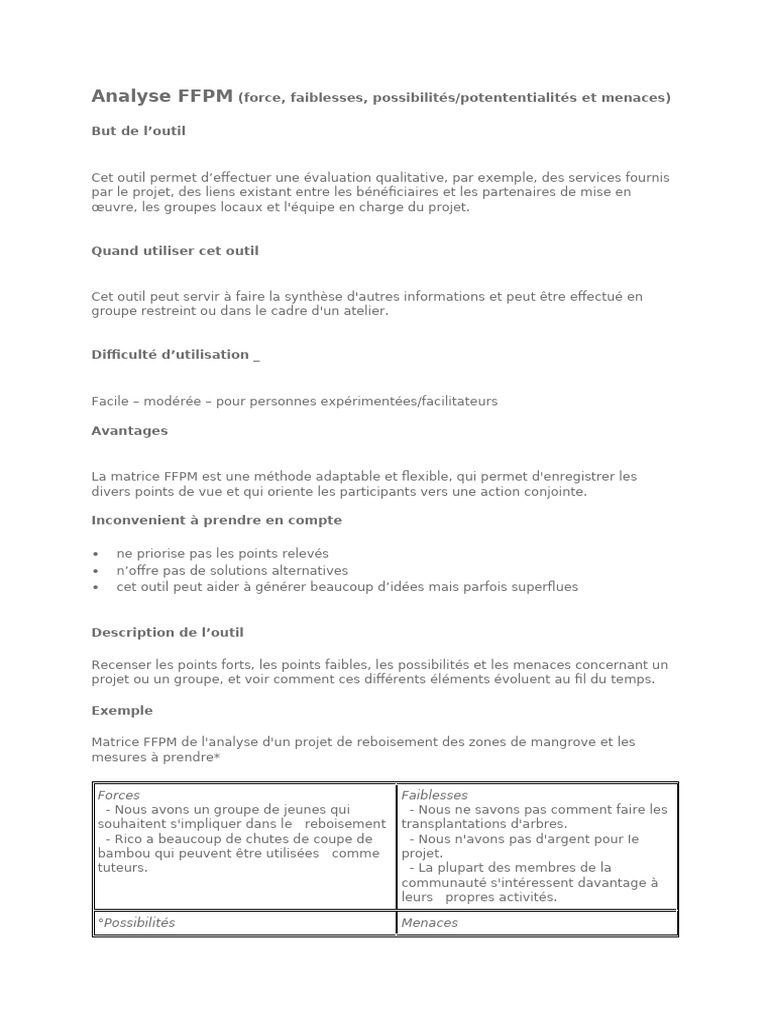 Analyse FFPM : Forces et Faiblesses | PDF