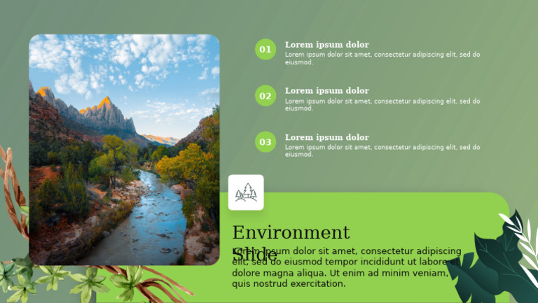 85570-Environment Slide | PDF