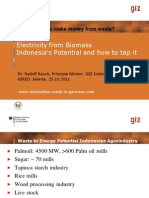 Electricity From Biomass Indonesia S Potential and How To Tap It