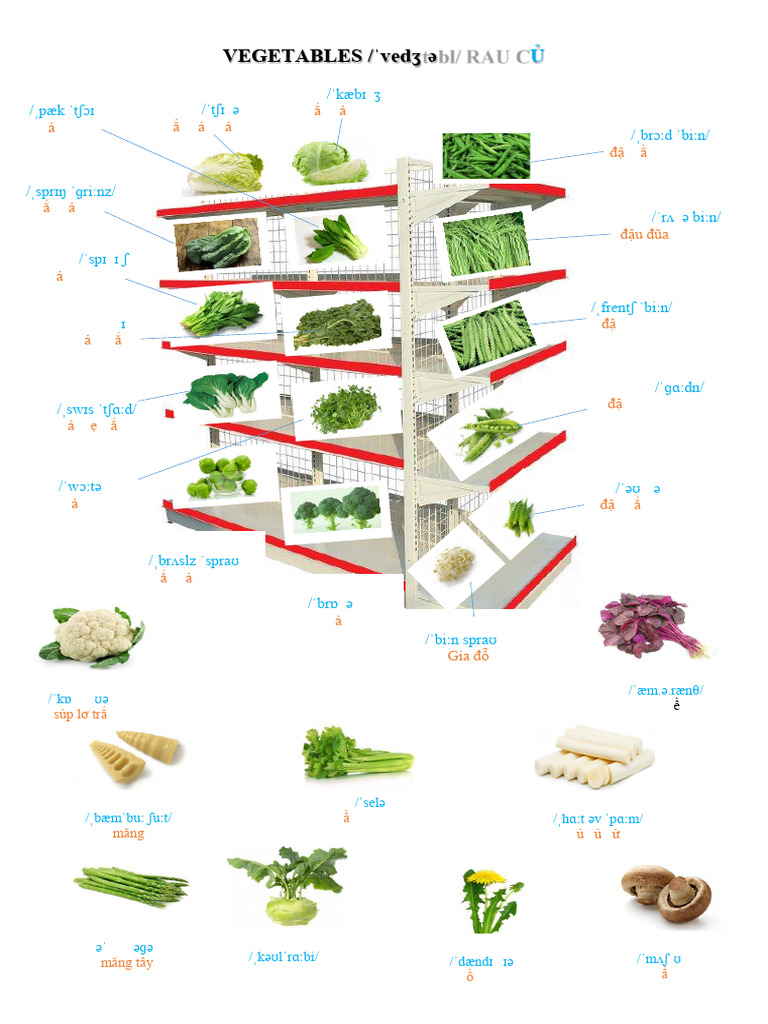 VEGETABLES | PDF