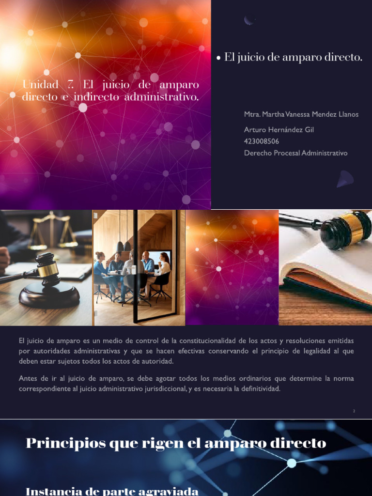Principios del Juicio de Amparo Directo | PDF