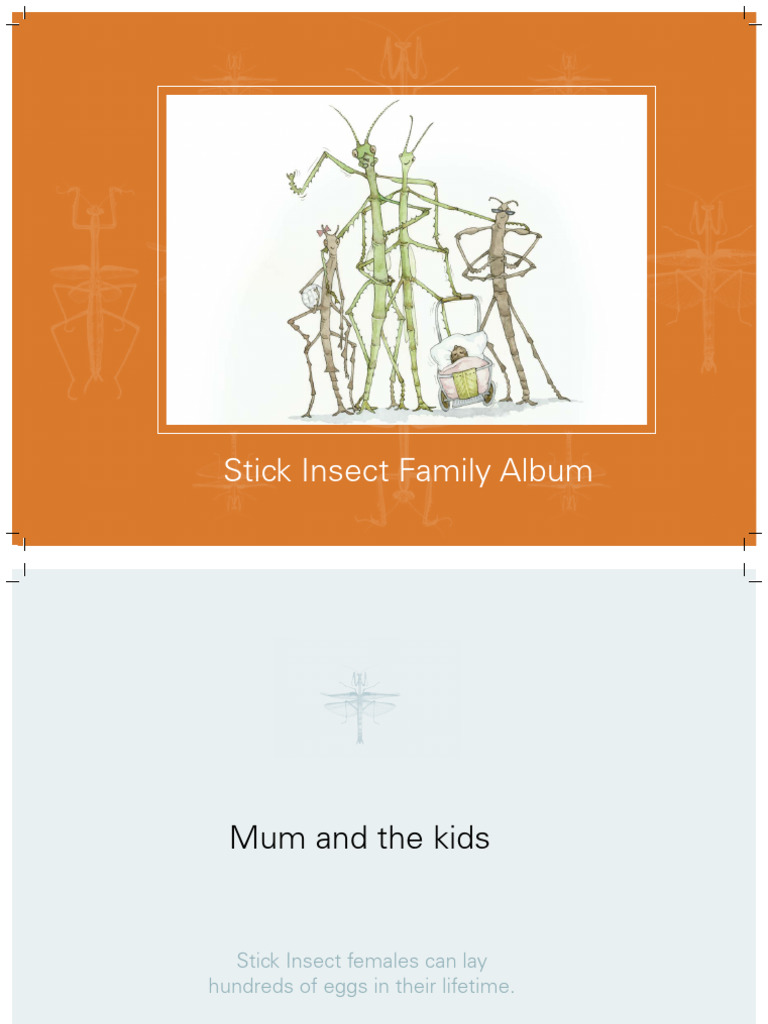 Stick Insect Family Album6f56 | PDF