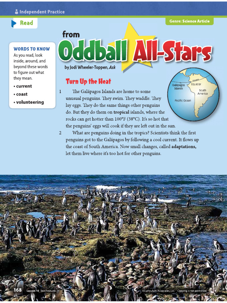 Text Features Quiz | PDF