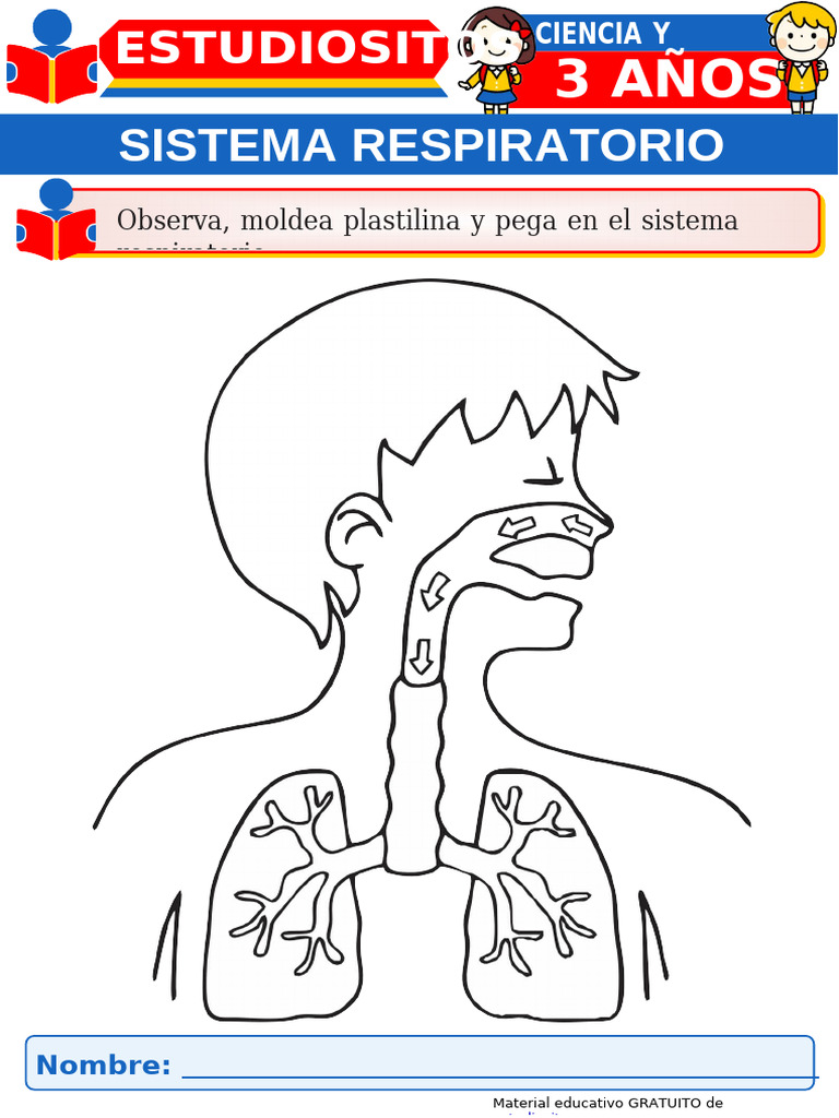 Molde del Sistema Respiratorio para Niños | PDF
