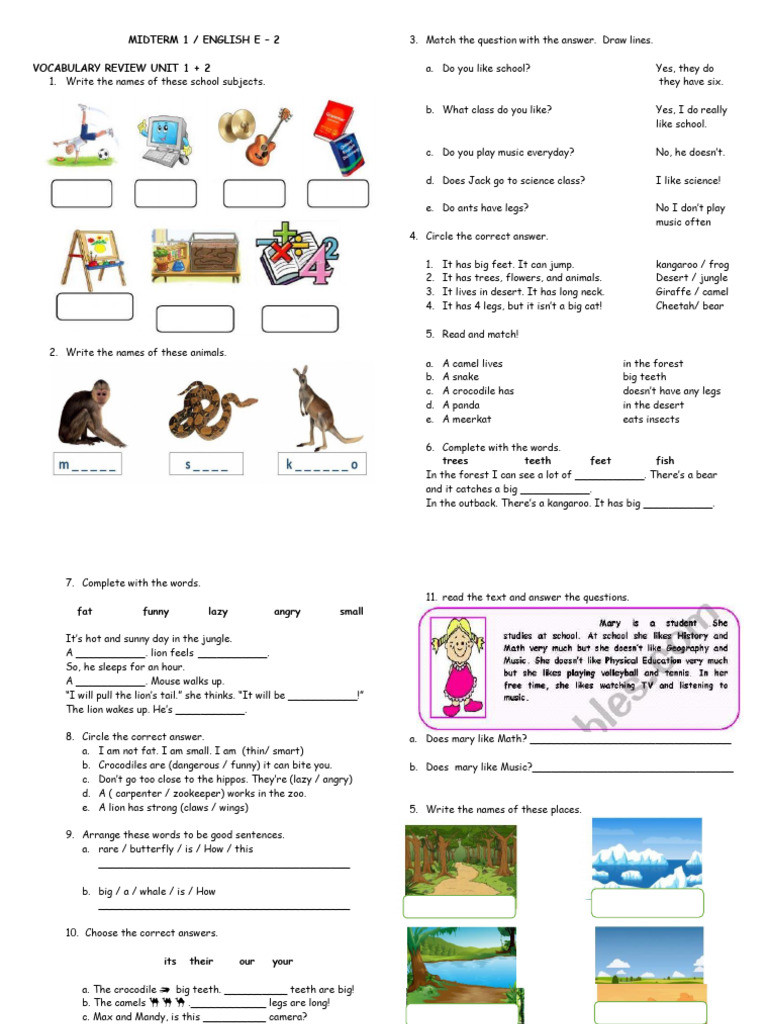 Midterm 1 - English - E2 2023 | PDF | Zoology