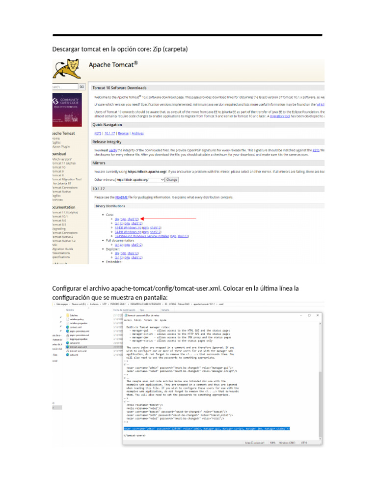 TOMCAT | PDF