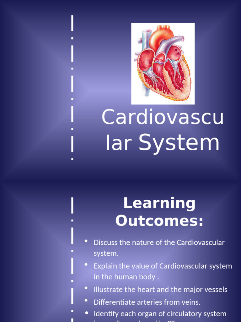 Understanding the Cardiovascular System | PDF | Heart Valve | Heart