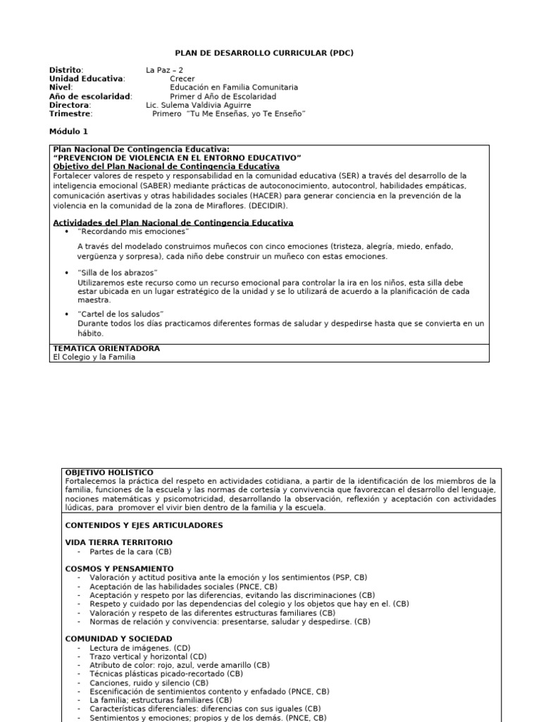 Plan de Desarrollo Curricular 2020 | PDF | Las emociones | Dibujo