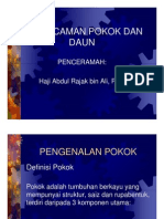 Asas Pengecaman Pokok Dan Daun - Hj. Abdul Rajak B.Ali, PPN
