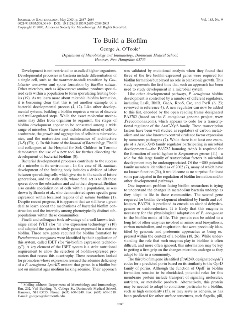 Insights into Bacterial Biofilm Formation | PDF | Biofilm | Pseudomonas ...