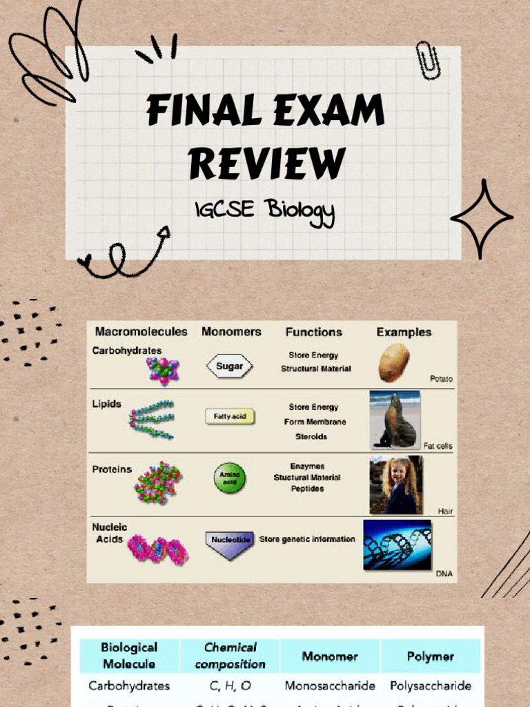 IGCSE Biology Final Exam Review | PDF