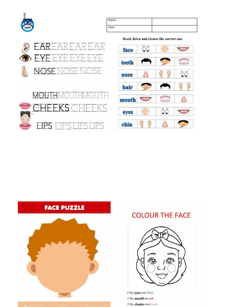 Face | PDF