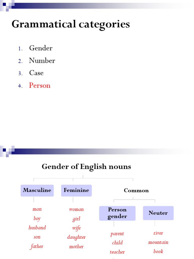 English Noun Grammar: Gender, Number, Case | PDF | Grammatical Gender ...