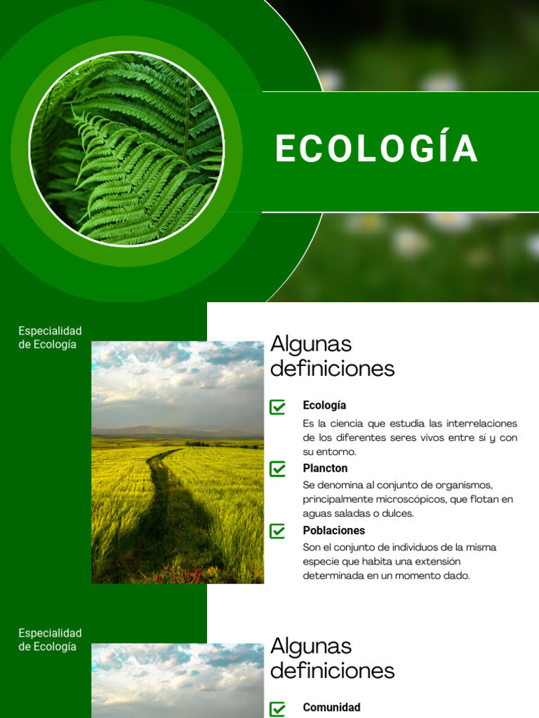 ECOLOGíA | PDF | Ecología | Ecosistema