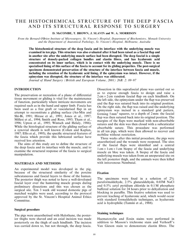 The Histochemical Structure of The Deep | PDF | Connective Tissue ...