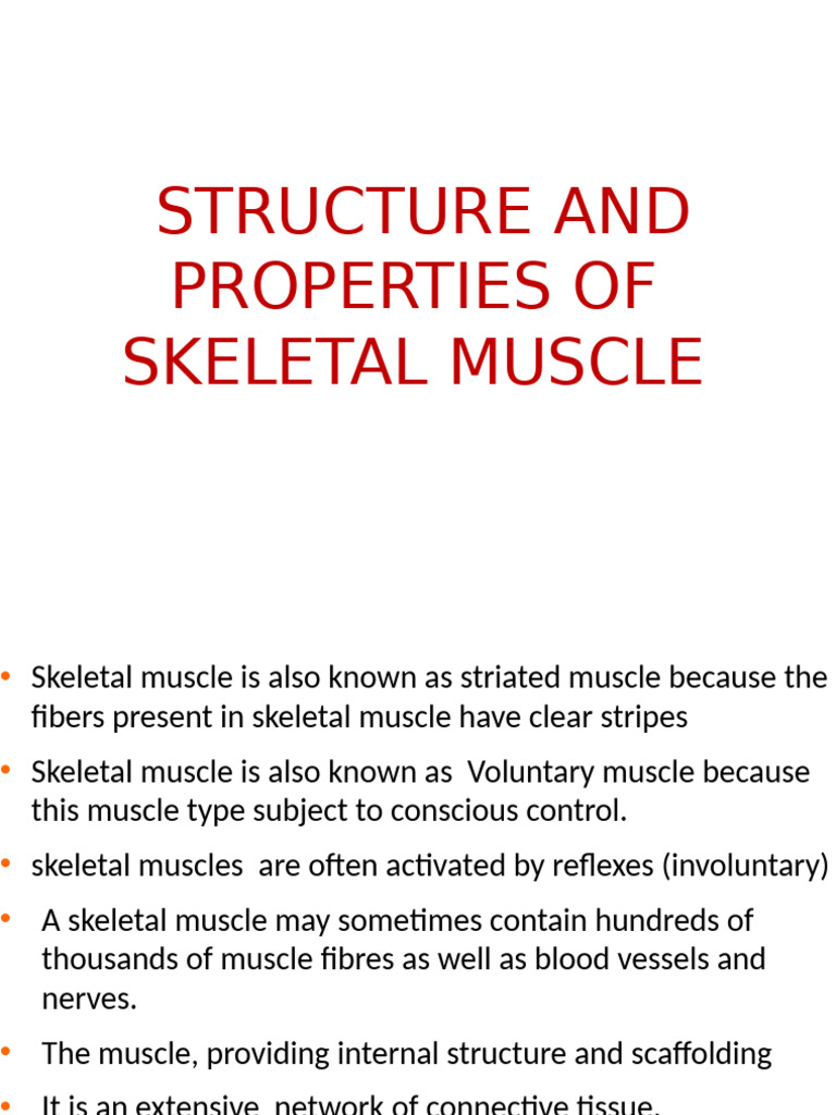 Structure and Properties of Skeletal Muscle | PDF | Muscle Contraction ...