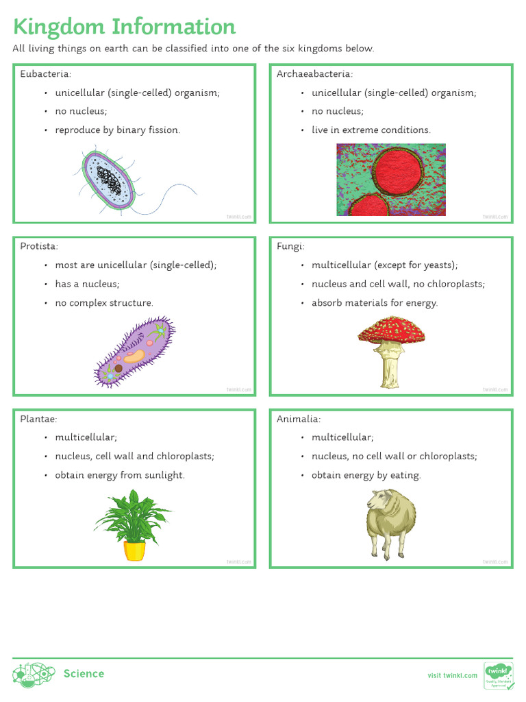 Inheritance V & E Lesson 15 Kingdom Information | PDF