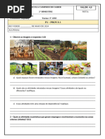 Agricultura, Pecuaria e Extrativismo | PDF