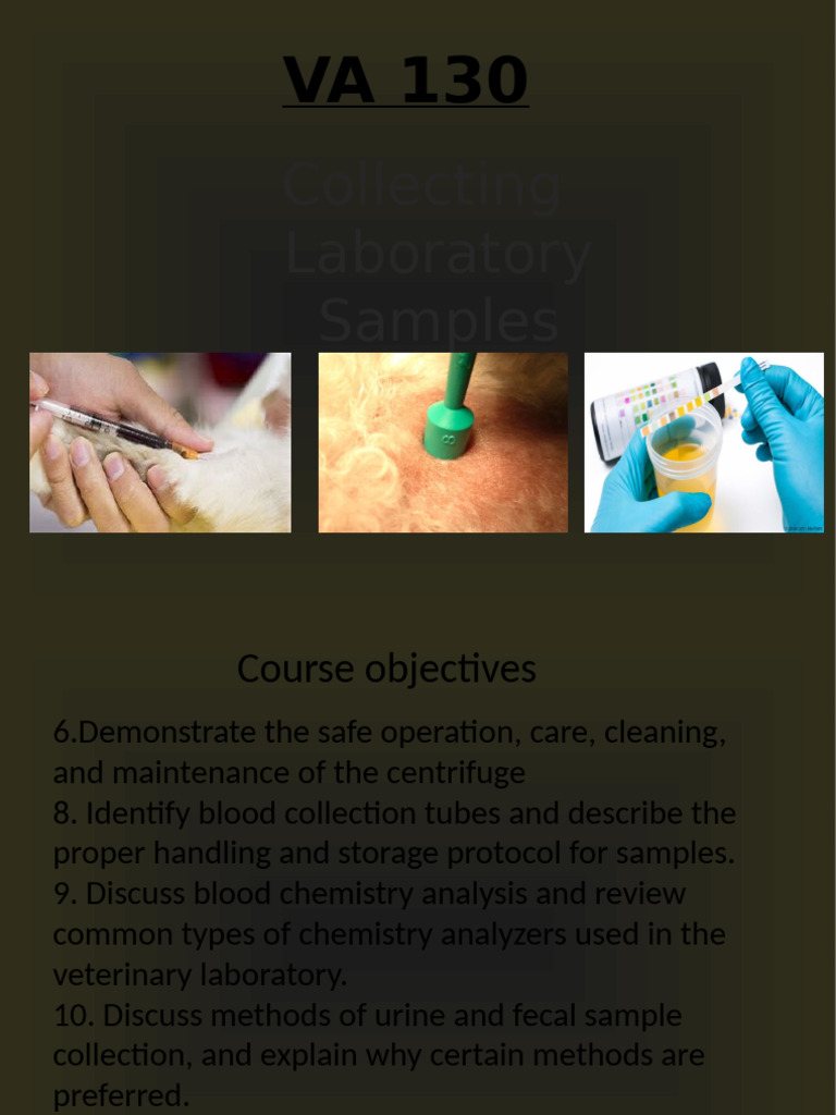 Veterinary Sample Collection Techniques | PDF | Cytopathology | Medical ...