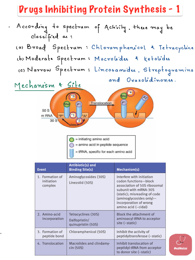 Drugs Inhibiting Protein Synthesis - 1 | PDF | Biochemistry | Chemistry
