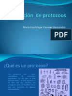 Nomenclatura de Protozoos