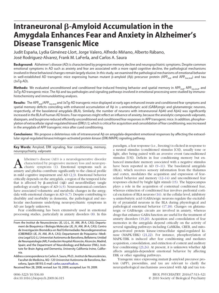 Intraneuronal Amyloid Accumulation in | PDF | Extracellular Signal ...