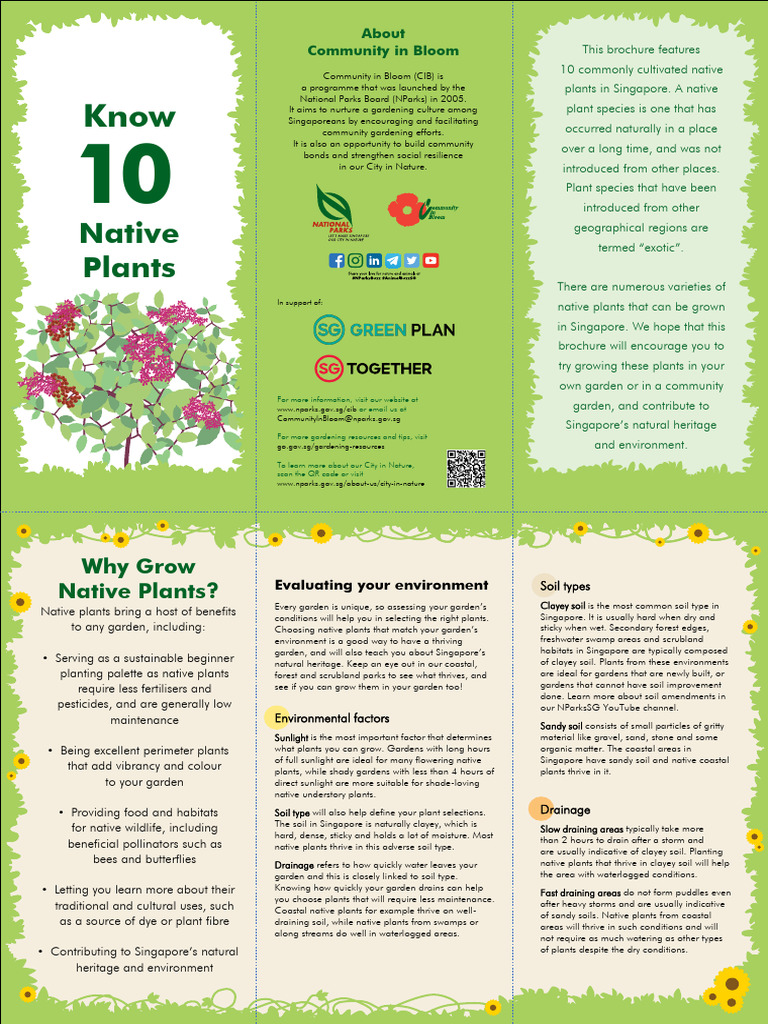 Know 10 Native Plants - Digital | PDF | Plants | Gardens