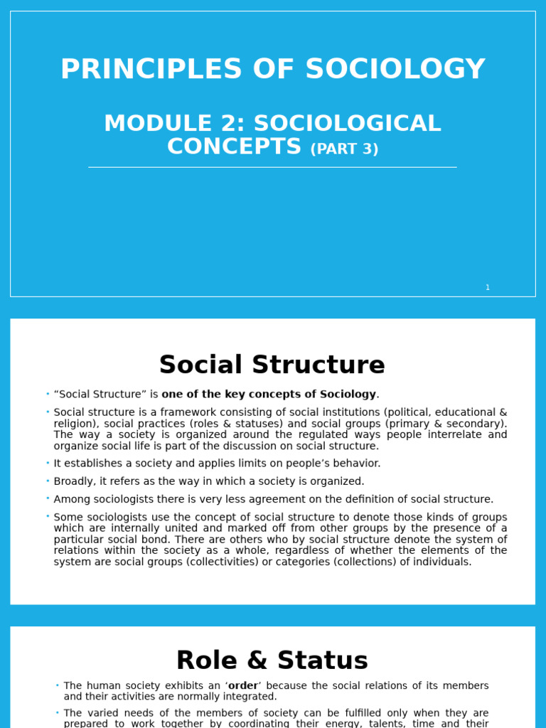 Understanding Social Structure and Roles | PDF | Society | Sociology