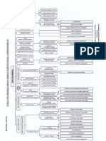 OrganigramaANP2010