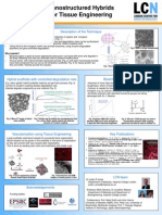 Nano Structured Hybrids For Tissue Engineering