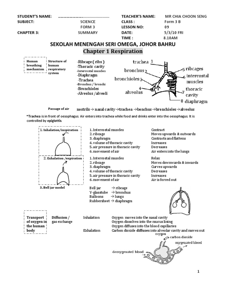 Seed dormancy diagram image