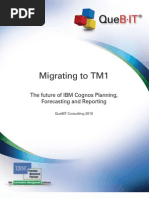 Migrating To TM1 White Paper