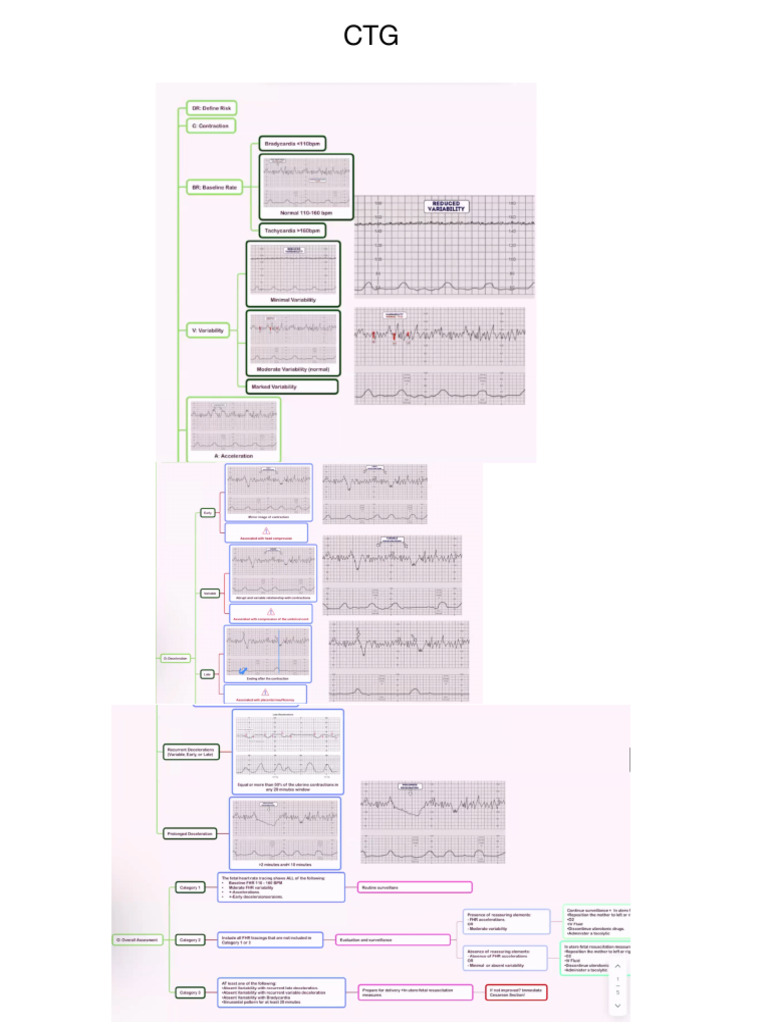 DR - Wafa Notes | PDF