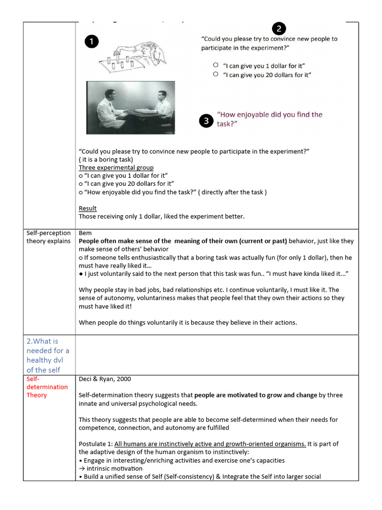Understanding Self-Determination Theory | PDF | Gender Studies | Gender