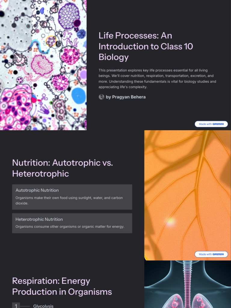 Class 10 Life Processes Overview | PDF | Biology | Cellular Respiration
