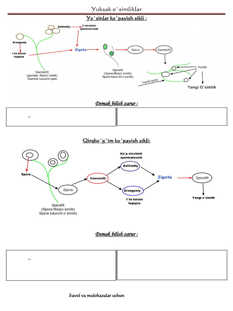 Uning xotiniga kunnilingus berish videosi