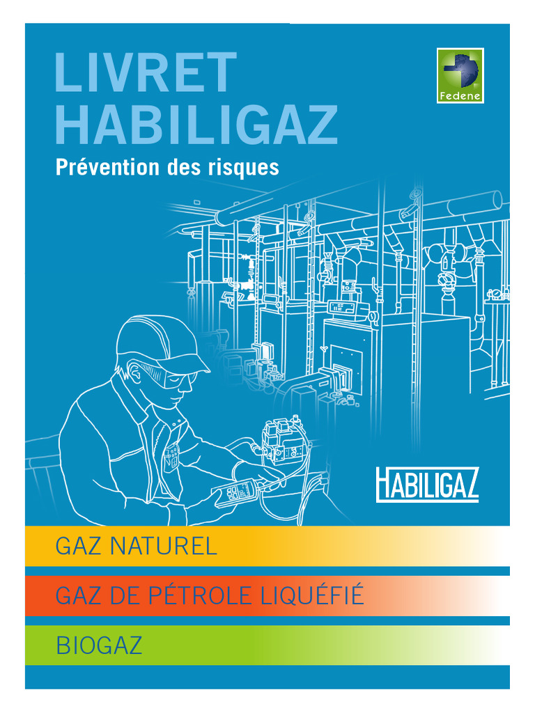 Prévention des risques liés aux gaz | PDF | Gaz de pétrole liquéfié ...