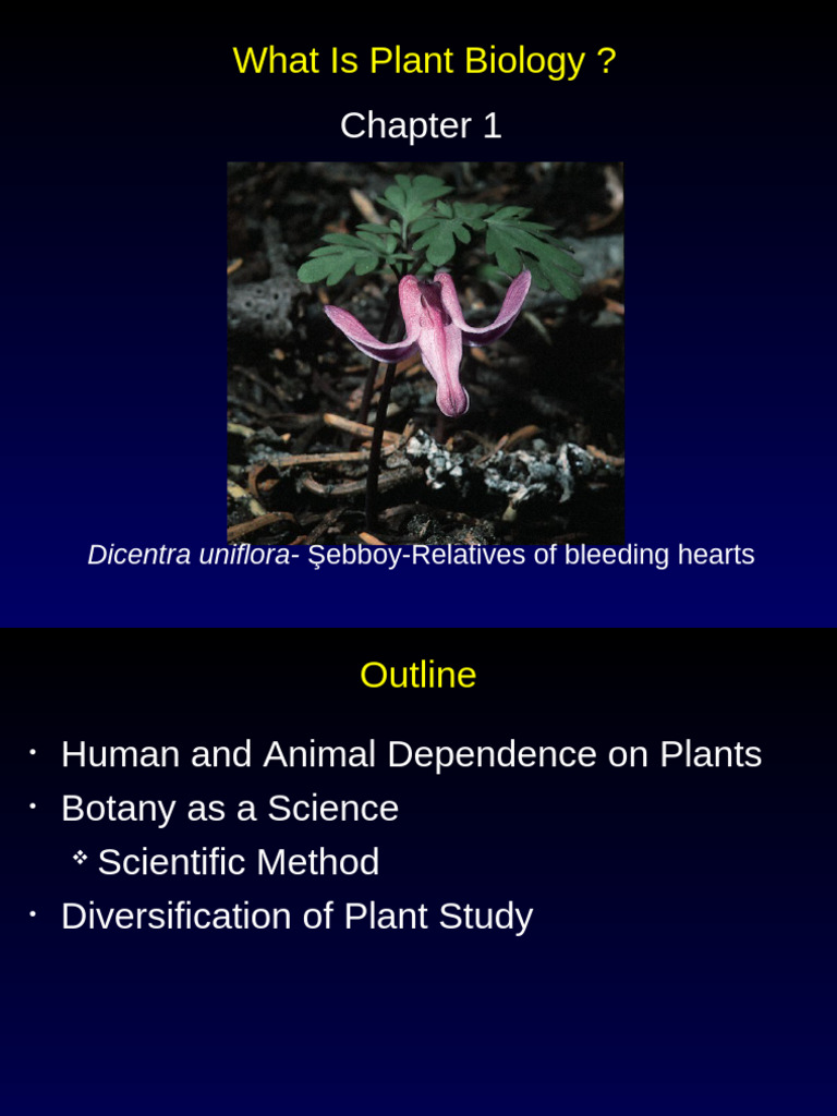 Chapter01 2024 | PDF | Botany | Plants