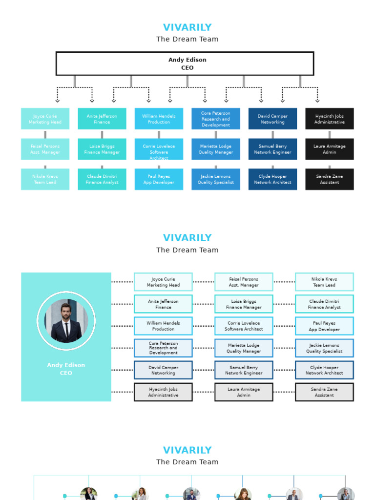 VIVARILY Team Overview and Roles | PDF