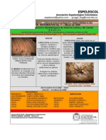 ESPELEOCOL Boletin 7 2009