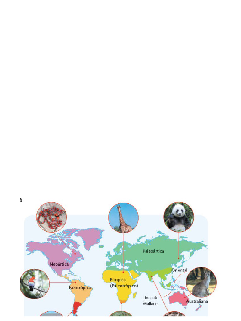 Zonas Biogeograficas | PDF