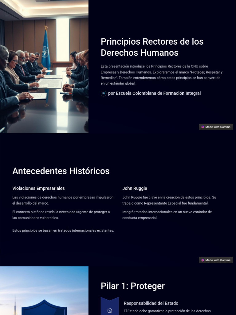 Principios Rectores de Derechos Humanos | PDF | Derechos humanos ...