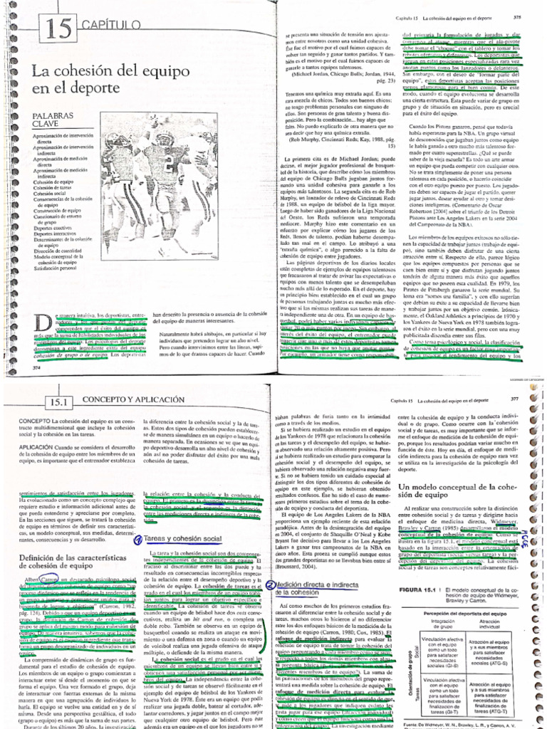 Unidad 3 - La Cohesión Del Equipo en El Deporte | PDF