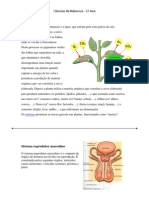 FOTOSSÍNTESE Orgão reprodutor