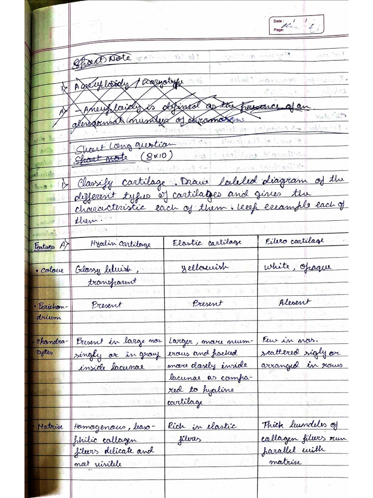 Document 7 | PDF