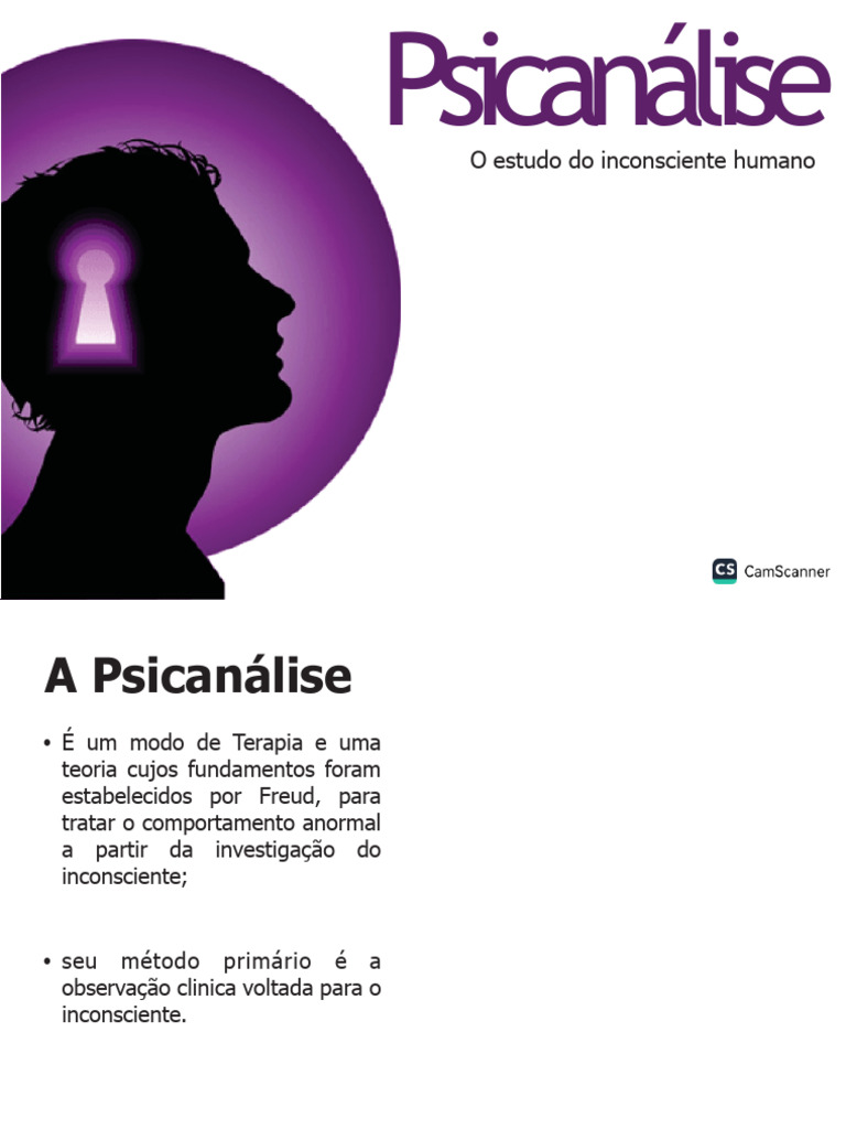 Fundamentos da Psicanálise de Freud | PDF | Autoimagem | Psicanálise