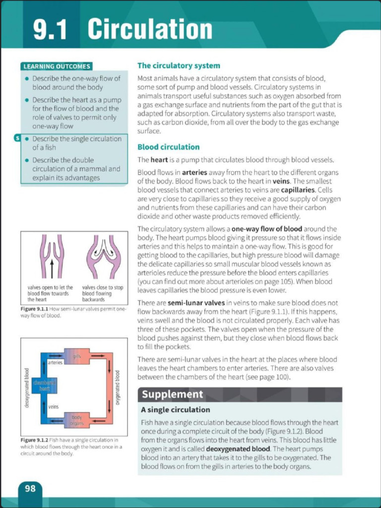 0610 Unit 9 Textbook | PDF