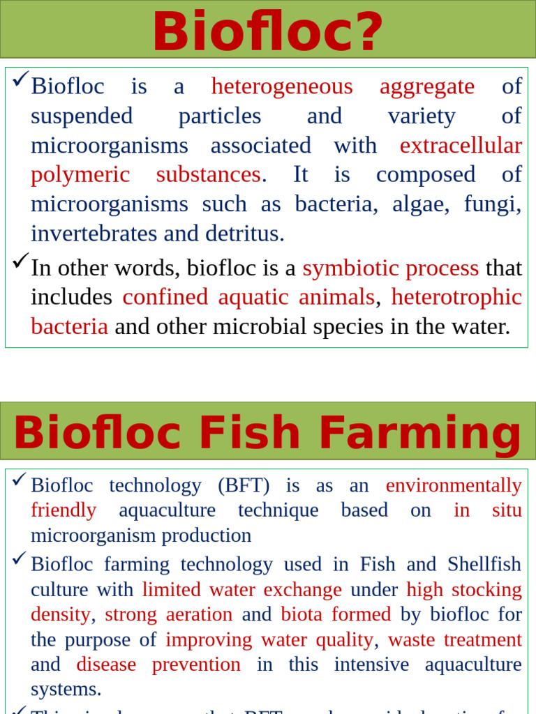 Biofloc Fish Farming | PDF | Aquaculture | Microorganism